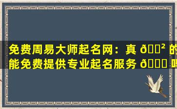 免费周易大师起名网：真 🌲 的能免费提供专业起名服务 🐝 吗